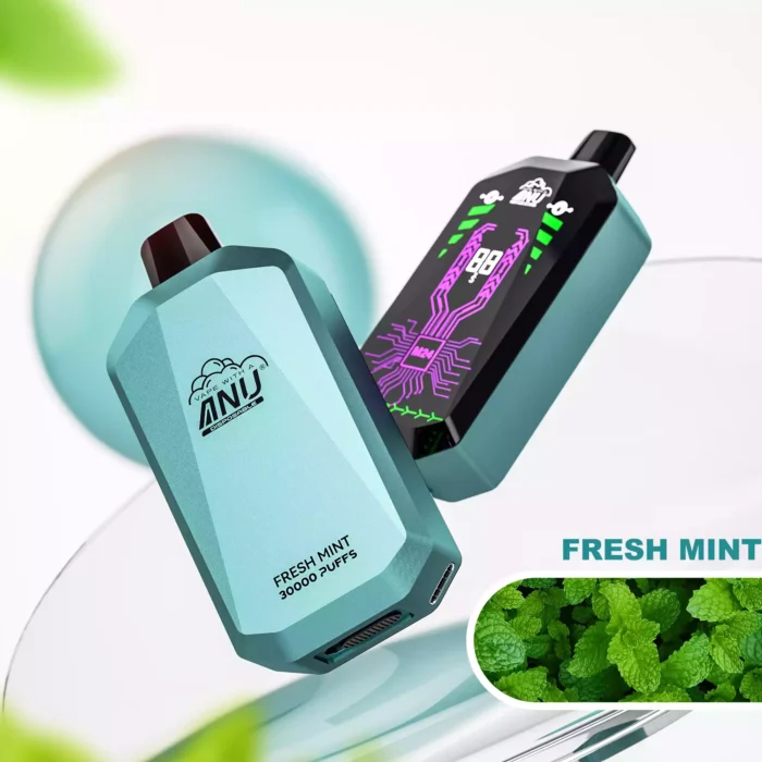 ANU Star 30000 Züge Frische Minze E-Zigaretten Original Fabrik Großhandel Premium Qualität Schneller Versand 0% 2% 3% 5% niedriger Nikotingehalt (7)