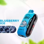ANU Vista 30000 Züge Blaubeere Eis Einweg E-Zigaretten – Ihre Wahl für Premium-Qualität und langanhaltendes Dampferlebnis (2)