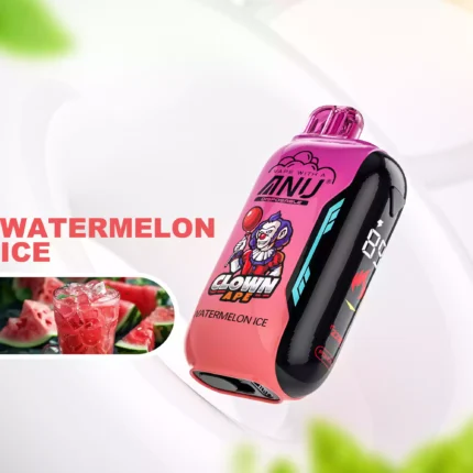 ANU Vista 30000 Züge Wassermelone Eis E-Zigaretten Original Fabrik Großhandel Hochwertig Angenehmer Geschmack Expressversand 0% 2% 3% 5% niedriger Nikotingehalt (2)