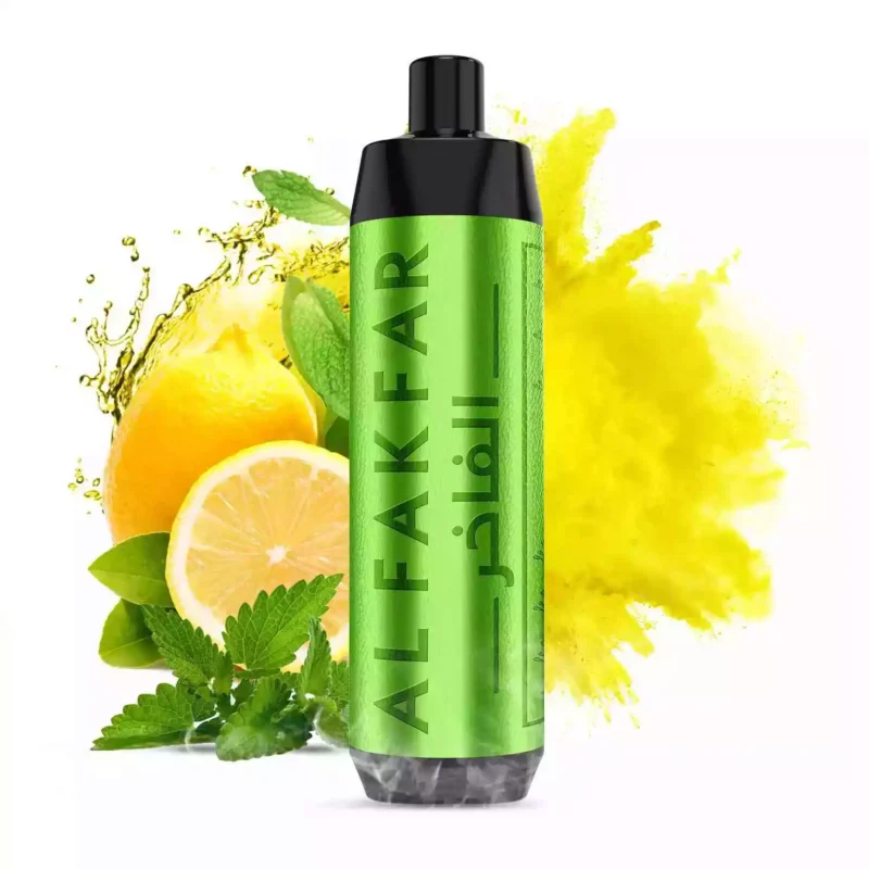 5 bis 7 Tage Lieferung AL FAKHAR 8000 Züge F18 Einweg E-Zigarette 18250 Akku Typ-C Ladeanschluss – Zitrone Minze Flavours